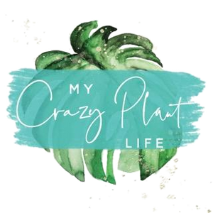 My Crazy Plant Life